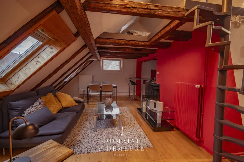 Photo de l'appartement Strasbourg vue cathédrale